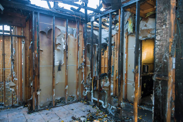 Professional Fire Damage Removal technician working in Carson City, MI